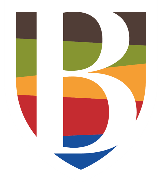 logo_baroef